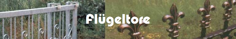 Flgeltore